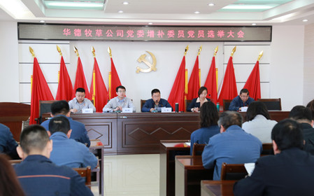 標(biāo)題：華德牧草公司召開黨員大會
瀏覽次數(shù)：1128
發(fā)表時間：2024-04-29